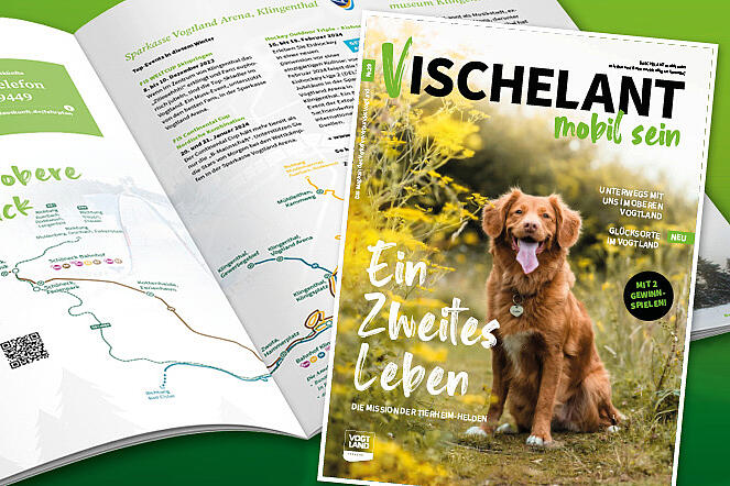 Titelbild Vischelant Ausgabe Nummer 29