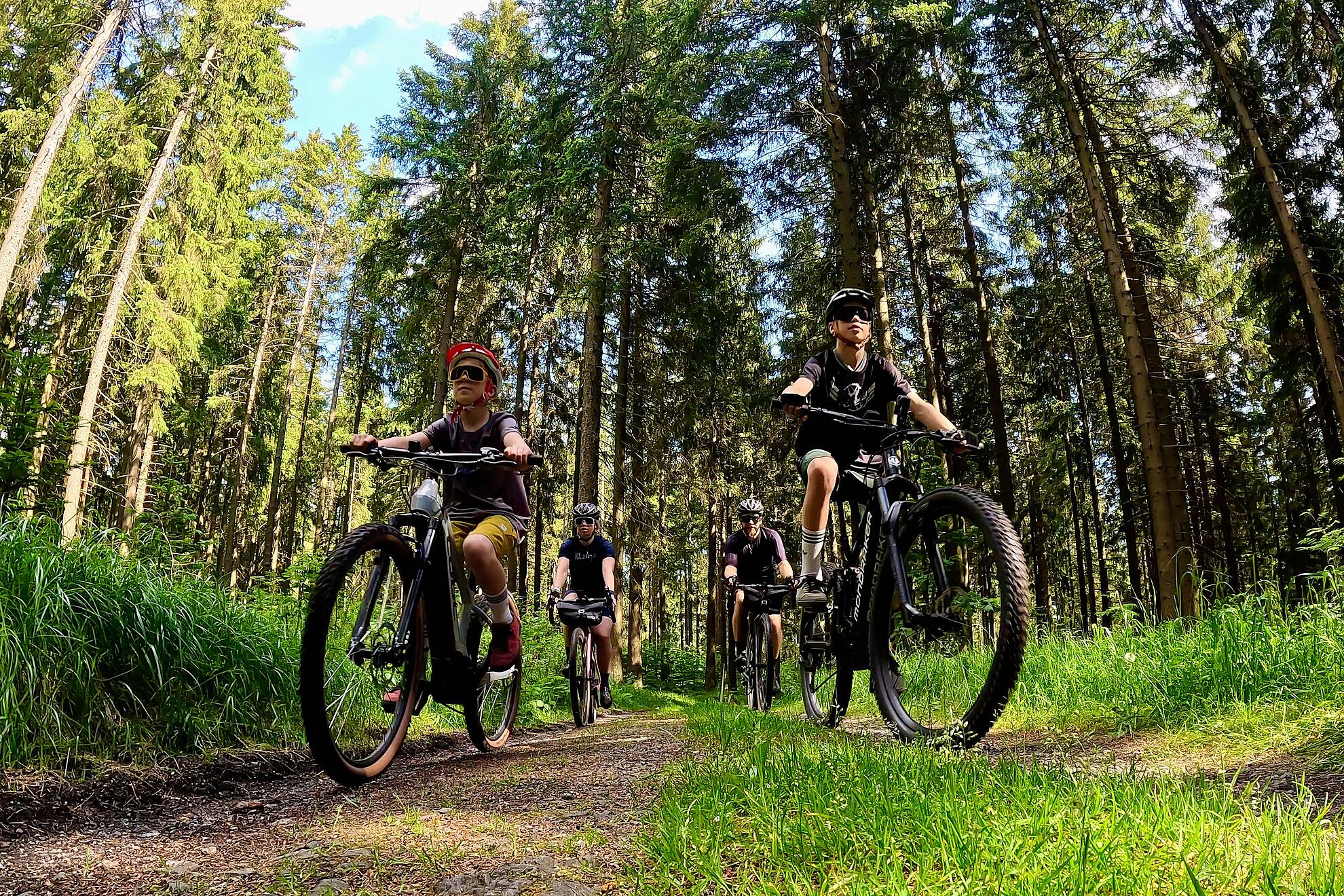 Blick von unten auf Fahrradfahrer im Wald
