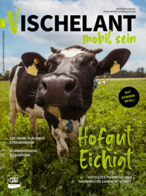 VISCHELANT Ausgabe Nummer 31