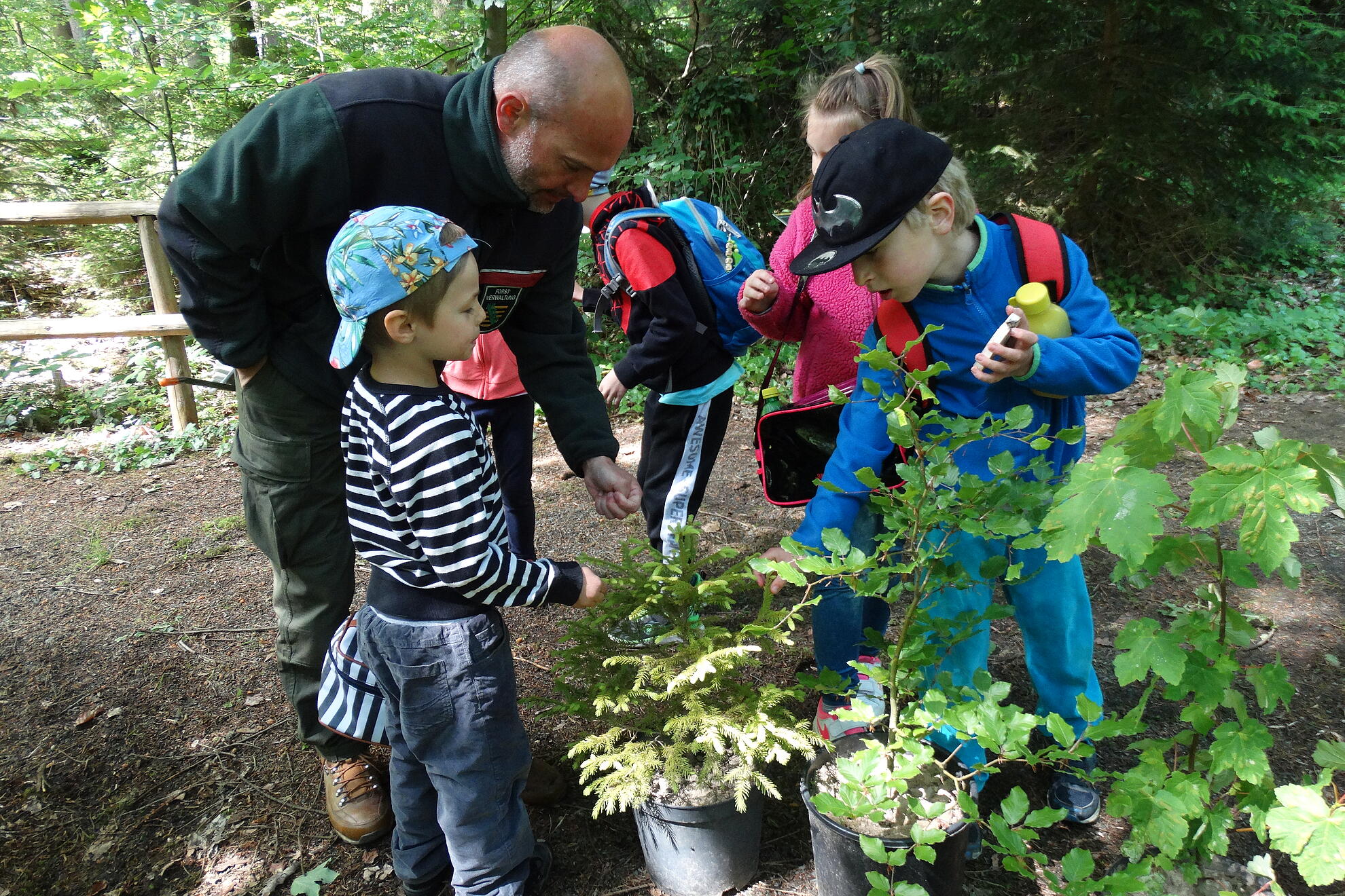 Junge Waldbesucher lernen die heimischen Baumarten zu unterscheiden.